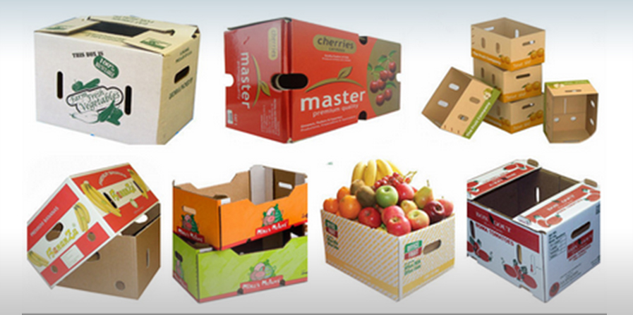 Sản phẩm Đức Tín Phát 05